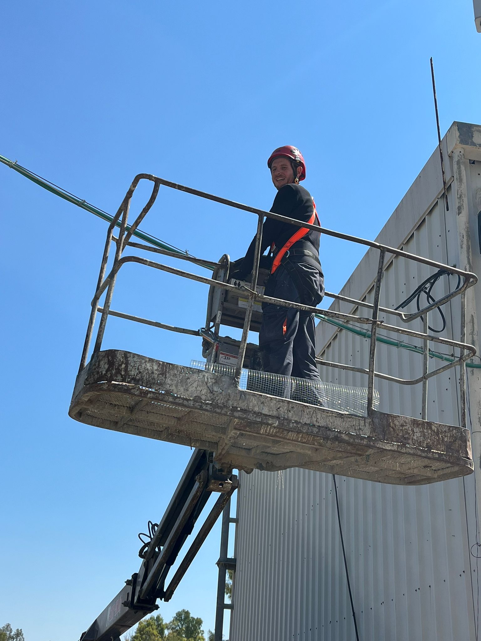 רשתות יונים