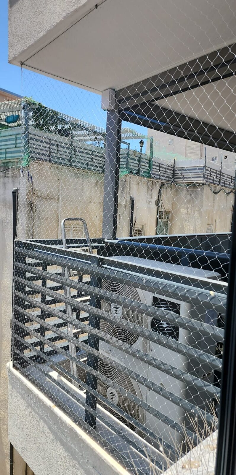 אדוארד הרחקת יונים